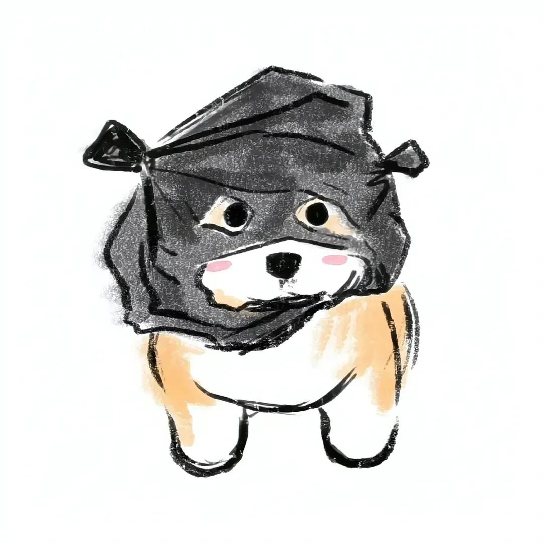 诉讼助理